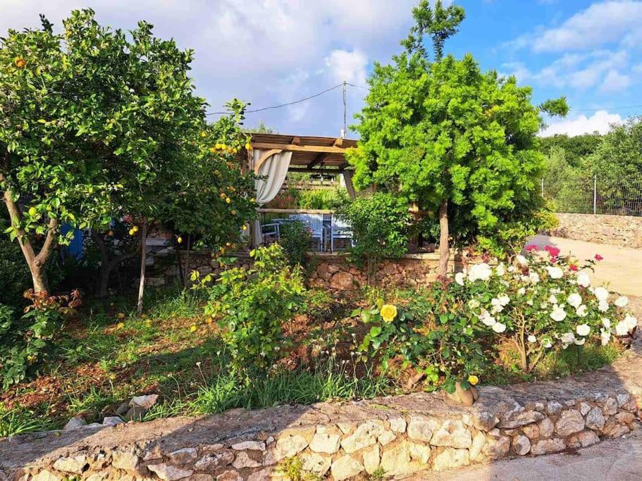 Fragosiko - Rustic Retreat In Kefalonia Argostoli  Buitenkant foto