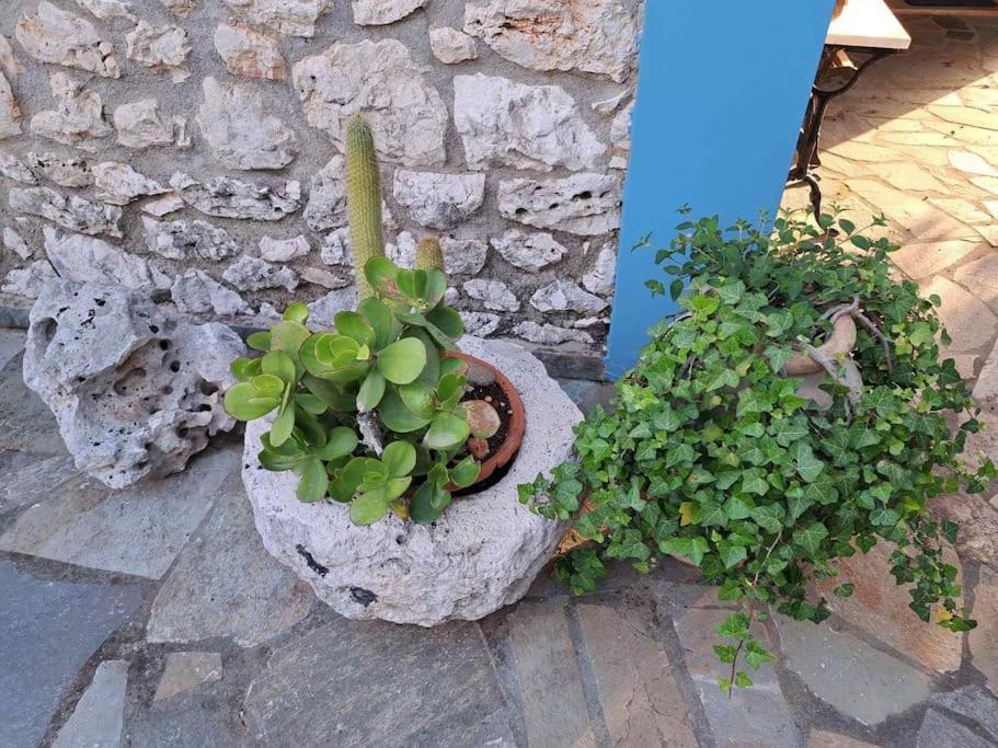 Fragosiko - Rustic Retreat In Kefalonia Argostoli  Buitenkant foto