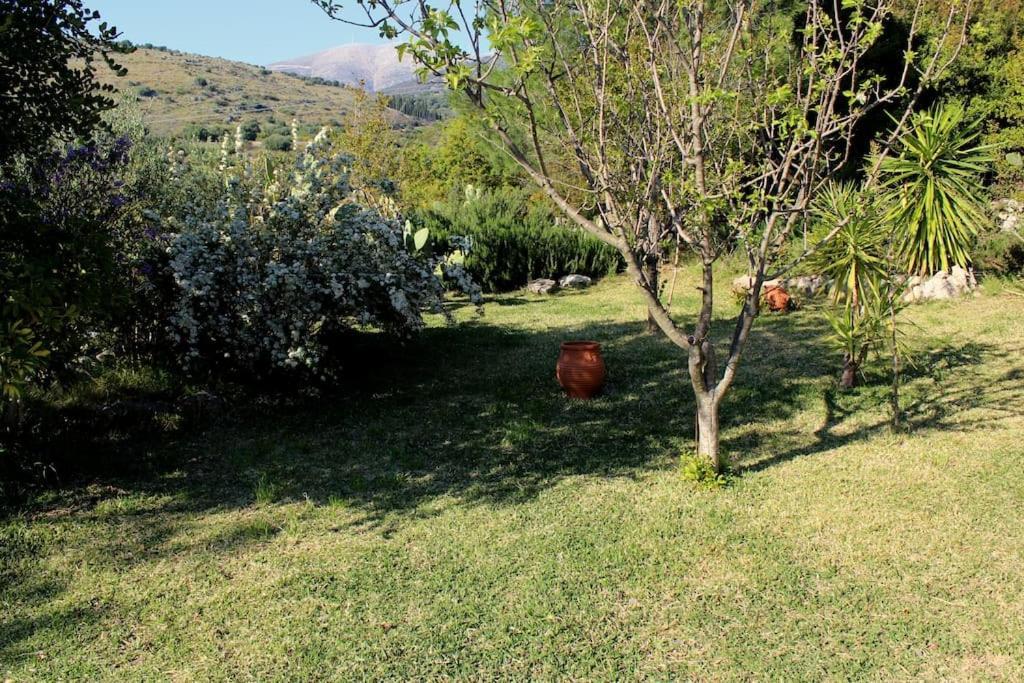 Fragosiko - Rustic Retreat In Kefalonia Argostoli  Buitenkant foto