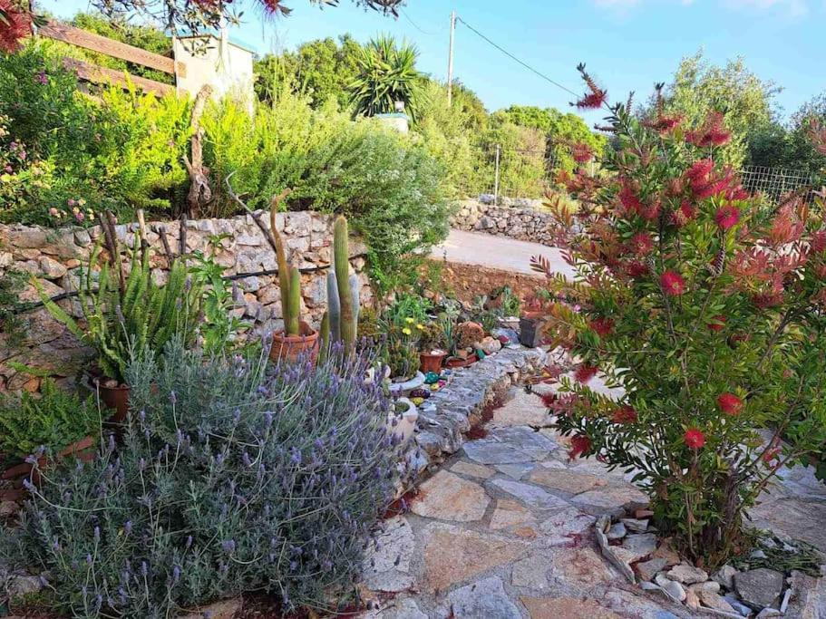 Fragosiko - Rustic Retreat In Kefalonia Argostoli  Buitenkant foto