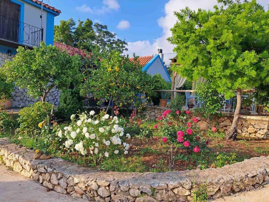 Fragosiko - Rustic Retreat In Kefalonia Argostoli  Buitenkant foto