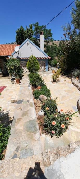 Fragosiko - Rustic Retreat In Kefalonia Argostoli  Buitenkant foto